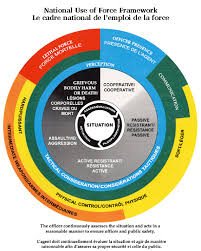 Peels Sixth Principle Policing Politics And Public Policy