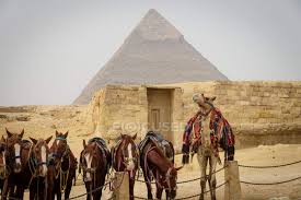 Which company provides camel or horse riding giza pyramids desert? Egypt Giza Gouvernement Giza Horses And Camel By Pyramid Of Giza Outdoors Tourism Stock Photo 198859762