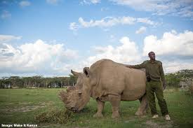 aaron bilow (@aaronbilow3)