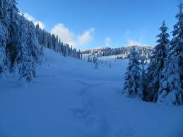 Maxima europei a fost de 48 de grade la atena, în anul 1977, în timp ce în italia au fost 47 de grade. Frig Record In Bihor 39 6 Grade Intr O Dolina Din Padis Cea Mai