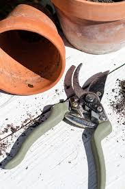 Nov 17, 2020 · disassemble your scissors. Must Have Gadget For Sharpening Garden Tools Anderson Grant