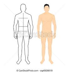 Man Anatomy Silhouette Size Human Body Full Measure Male Figure Waist Chest Chart Template