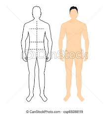 man anatomy silhouette size human body full measure male figure waist chest chart template