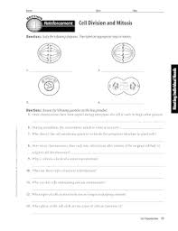 In mitosis, daughter cells are identical because they are diploid and somatic. Answer Key Section 1 Reinforcement Cell Division And Mitosis Zip Monster Girl Dreams Mods