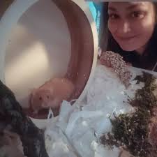 Anyone hammy dont like worm. I thought is their favourite snack. All my 4  hammies all dont like refuse to eat😅