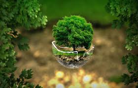 Que Es Arbol De La Vida Su Definicion Y Significado 2022