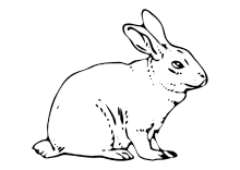 Fabelhaft die besten 25 vorlage hase ideen auf pinterest. Ausmalbilder Ostern Osterhase Ostereier Kinder Malvorlagen