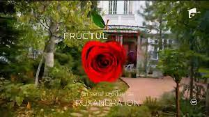 Vizioneaza aici, serialul romanesc difuzat pe antena 1, fructul oprit sezonul 2 episodul 33 online integral, din data de 1 mai 2019. Fructul Oprit E1 P1 Video Dailymotion