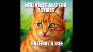 Warrior Cats Memes Clean Google Search Warrior Cats Quotes Warrior Cat Memes Cat Quotes Funny