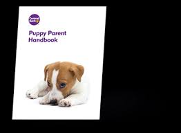 We did not find results for: Puppy Hour Central Bark Atlanta