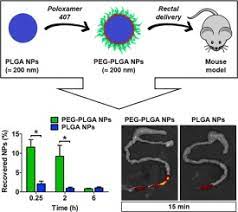 The tolerance and stability to heat, acid, alkaline, and trypsin treatments significantly improved compared with the native uricase. Surface Modification With Polyethylene Glycol Enhances Colorectal Distribution And Retention Of Nanoparticles Sciencedirect