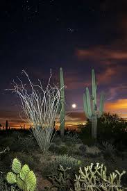 Nighttime In The Desert Arizona Landscape Beautiful Landscapes Beautiful Nature