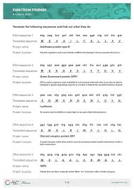 Nutrients answers rar in the rna and protein synthesis gizmo™, you will use both. Codon Wheel Worksheet Answer Key