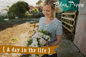 Growing cut flowers in scotland. A Visit To Blue Poppy Coastal Cutting Garden The Natural Wedding Company