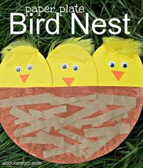 Paper Plate Bird Crafts For Kids With So Much New Lifte Spring Holds So Many Teachable Moments Kids Learn By Doing Making This P Bird Crafts Preschool Preschool Art Projects Bird Nest Craft