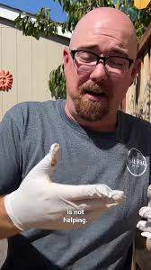 Delicious Beef Shank Recipe