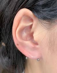 Transverse Lobe