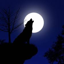 January's full wolf moon reaches peak illumination on thursday, january 28, at 2:18 p.m. Wwjpezdpe6tkfm
