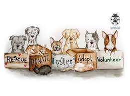 We take adoption very seriously, so humane indiana reserves the right to deny any application. Humane Society Of Noble County Inc Indiana Home Facebook