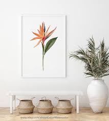 Bird Of Paradise Canvas Wall Art Bird Of Paradise Art Bird Of Paradise Print Bird Of Paradise Etsy Botanical Wall Art Teal Wall Decor Floral Wall Decor