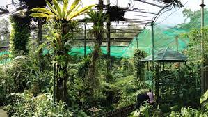 The hotel is strategically located near many of the city's landmarks such as the petronas towers, kuala lumpur tower, and kasturi walk alongside central market. Kuala Lumpur Butterfly Park Wikipedia