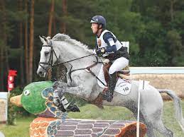 Select from premium oliver townsend of the highest quality. Burghley Gewinner Carousel Quest Von Brite Oliver Townend Lebt Nicht Mehr