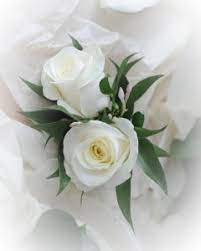 Want to discover art related to highcliffe? Funerals Flowers By Design