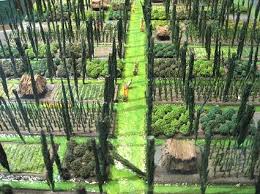 Xochimilco is one of mexico city's most popular destinations, principally for the miles of waterways that run through the centre of the barrio, which have led to it being dubbed the venice of mexico. Cuban Experience In Urban Agriculture Applied In Mexico Diseno De Permacultura Huerto Urbano Diseno De Paisaje