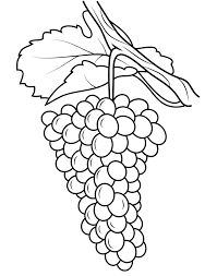 We did not find results for: Gambar Mewarnai Buah Anggur Untuk Tk Dan Paud Marimewarnai Com
