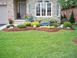 The crew is very meticulous. 20 Shrubs For Front Yard Magzhouse