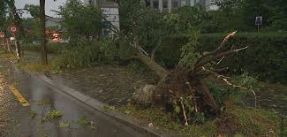 Das wird das wetter der zukunft ein eisiger winter, ein kühler frühling und im sommer ein wechsel aus hitze und unwettern: Vcwvz25mbepcdm