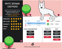 White German Shepherd The Ultimate Breed Guide German