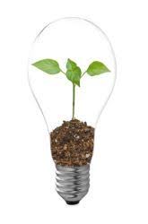 Does The Color Of Light Affect Plant Growth Science Project Education Com Science Fair Projects Kids Science Fair Projects Science Fair