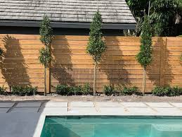 Bulldog fence has provided thousands of south florida residential and commercial clients with. Bulldog Fence Of Florida Contractor Delray Beach Florida Facebook 1 Review 164 Photos