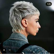 Teri Ellen Hair On Instagram Baby Mullet Last Week For Thetylerpeters For Ruffians On Hjmen Stage At Salonin Mullet Hairstyle Short Hair Styles Edgy Hair