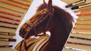 See more ideas about horse art, horse drawings, horse drawing. Drawing Realistic Horse Youtube