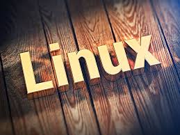 The 5 best Linux distros for the enterprise: Red Hat, Ubuntu, Linux Mint  and more – Computerworld