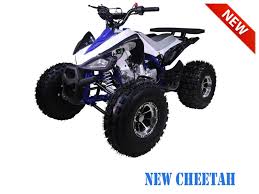 As with cars, there are fast quads and slow quads, it just depends on how the. Small Chinese Atv Tao Motors Cheetah Pro Children And Kids Vtt Lachute