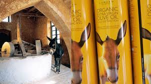 Vintage Olive Oil Stone Press Farm Activities Oils Rethymno