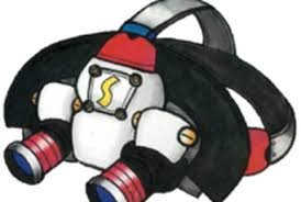 Image result for Angraecopsis gracillima