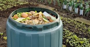 Maybe you would like to learn more about one of these? How To Start A Backyard Compost