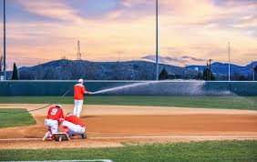 Facility home eagle field at dolese park. Sully Baseball Falls To Southwestern 7 3 In Series Opener News Sulross Edu