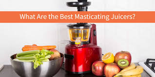 We did not find results for: 8 Best Masticating Cold Press Juicers 2021 Vegbyte Marketplace