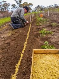 Maybe you would like to learn more about one of these? How To Grow Apple Trees The Organic Way Grow Great Fruit