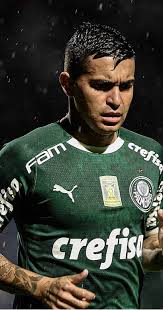 Scarpa foi o jogador do palmeiras que mais vezes arriscou ao gol. Pin De Adriana Rangel Em Palmeiras Dudu Palmeiras Fotos Do Palmeiras Wallpaper Palmeiras