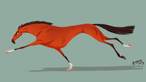 Pin By Tapatio On Drawings Animal Drawings Horse Drawing Horse Drawings