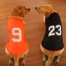They do not shed their puppy fur. Golden Retriever Dog Clothes Search Lightinthebox
