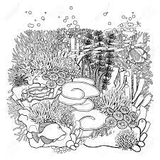 des recifs coralliens dans le style d art en ligne plantes de l ocean et les rochers isoles sur blanc coloriage design clip libres droits vecteurs illustration image 52755291 koala