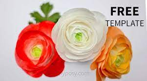 Diy Paper Ranunculus Flower Free Template And Video Tutorial Paper Flowers Diy Easy Easy Paper Flowers Paper Flower Template