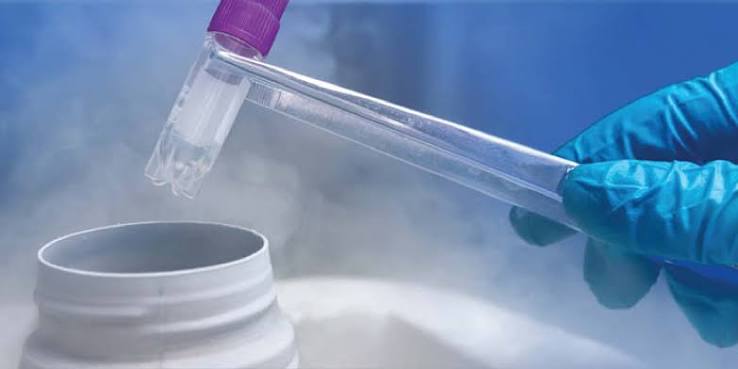 Fertility Preservation Treatment in India